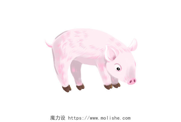 世界动物日卡通动物猪元素